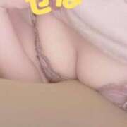 ヒメ日記 2024/12/19 14:00 投稿 新人せな DRAMA（ドラマ）