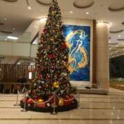 ヒメ日記 2024/12/12 16:02 投稿 清水ねね セクシーキャット 神田店