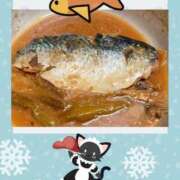 ヒメ日記 2024/12/13 07:30 投稿 清水ねね セクシーキャット 神田店