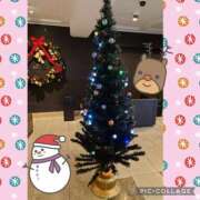 ヒメ日記 2024/12/13 16:02 投稿 清水ねね セクシーキャット 神田店