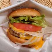 ヒメ日記 2024/12/19 12:02 投稿 清水ねね セクシーキャット 神田店