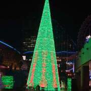 ヒメ日記 2024/12/19 18:18 投稿 清水ねね セクシーキャット 神田店