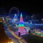 ヒメ日記 2025/01/16 07:30 投稿 清水ねね セクシーキャット 神田店