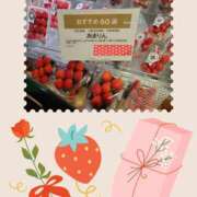 ヒメ日記 2025/01/30 07:30 投稿 清水ねね セクシーキャット 神田店