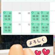 ヒメ日記 2025/01/31 16:01 投稿 清水ねね セクシーキャット 神田店