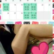 ヒメ日記 2025/02/14 16:00 投稿 清水ねね セクシーキャット 神田店