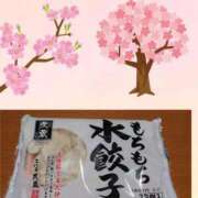 ヒメ日記 2025/03/27 07:30 投稿 清水ねね セクシーキャット 神田店