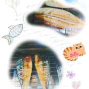 ヒメ日記 2025/03/31 11:45 投稿 清水ねね セクシーキャット 神田店