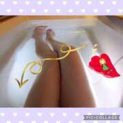 ヒメ日記 2025/03/31 16:30 投稿 清水ねね セクシーキャット 神田店