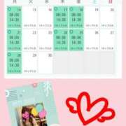 ヒメ日記 2025/04/11 16:30 投稿 清水ねね セクシーキャット 神田店