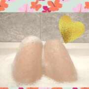 ヒメ日記 2025/04/14 16:30 投稿 清水ねね セクシーキャット 神田店