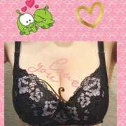 ヒメ日記 2025/04/17 16:30 投稿 清水ねね セクシーキャット 神田店