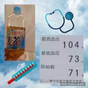 ヒメ日記 2025/04/24 07:30 投稿 清水ねね セクシーキャット 神田店