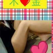 ヒメ日記 2025/05/02 16:45 投稿 清水ねね セクシーキャット 神田店