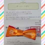 ヒメ日記 2025/05/29 07:30 投稿 清水ねね セクシーキャット 神田店