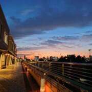 ヒメ日記 2025/07/25 16:30 投稿 清水ねね セクシーキャット 神田店