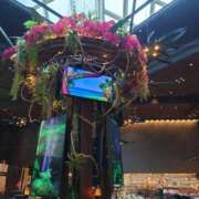 ヒメ日記 2025/08/04 07:45 投稿 清水ねね セクシーキャット 神田店