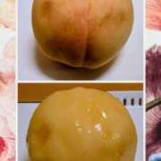 ヒメ日記 2025/08/08 07:45 投稿 清水ねね セクシーキャット 神田店