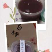 ヒメ日記 2025/08/21 11:45 投稿 清水ねね セクシーキャット 神田店