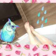 ヒメ日記 2025/08/28 16:30 投稿 清水ねね セクシーキャット 神田店