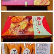 ヒメ日記 2025/09/29 07:45 投稿 清水ねね セクシーキャット 神田店