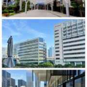 ヒメ日記 2025/10/06 07:45 投稿 清水ねね セクシーキャット 神田店