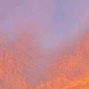 ヒメ日記 2025/10/09 16:30 投稿 清水ねね セクシーキャット 神田店