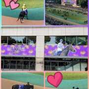 ヒメ日記 2025/11/06 07:45 投稿 清水ねね セクシーキャット 神田店