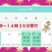 ヒメ日記 2025/11/07 16:30 投稿 清水ねね セクシーキャット 神田店