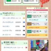 ヒメ日記 2025/11/10 07:45 投稿 清水ねね セクシーキャット 神田店