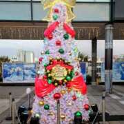 ヒメ日記 2025/12/01 16:30 投稿 清水ねね セクシーキャット 神田店