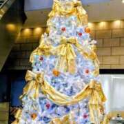 ヒメ日記 2025/12/04 16:30 投稿 清水ねね セクシーキャット 神田店