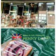 ヒメ日記 2025/12/15 11:45 投稿 清水ねね セクシーキャット 神田店