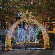 ヒメ日記 2025/12/15 16:30 投稿 清水ねね セクシーキャット 神田店