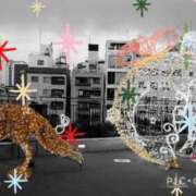 ヒメ日記 2025/12/18 16:30 投稿 清水ねね セクシーキャット 神田店