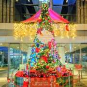 ヒメ日記 2025/12/22 07:45 投稿 清水ねね セクシーキャット 神田店