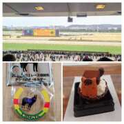 ヒメ日記 2026/02/09 07:45 投稿 清水ねね セクシーキャット 神田店