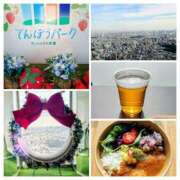 ヒメ日記 2026/02/13 11:45 投稿 清水ねね セクシーキャット 神田店