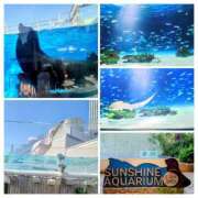 ヒメ日記 2026/02/19 07:45 投稿 清水ねね セクシーキャット 神田店