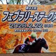 ヒメ日記 2026/02/20 07:45 投稿 清水ねね セクシーキャット 神田店