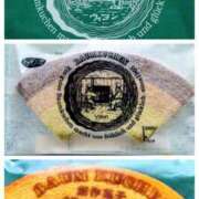 ヒメ日記 2026/03/05 11:45 投稿 清水ねね セクシーキャット 神田店