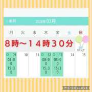 清水ねね 出勤予定ですょ♪ セクシーキャット 神田店