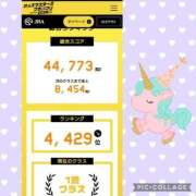 ヒメ日記 2026/03/09 07:45 投稿 清水ねね セクシーキャット 神田店