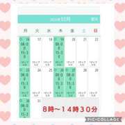 ヒメ日記 2026/03/13 16:30 投稿 清水ねね セクシーキャット 神田店