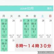 ヒメ日記 2026/03/19 17:30 投稿 清水ねね セクシーキャット 神田店