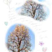 ヒメ日記 2026/03/26 16:30 投稿 清水ねね セクシーキャット 神田店