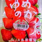 ヒメ日記 2026/03/27 07:45 投稿 清水ねね セクシーキャット 神田店