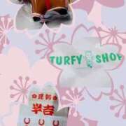 ヒメ日記 2026/04/02 07:45 投稿 清水ねね セクシーキャット 神田店