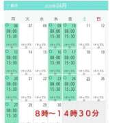 ヒメ日記 2026/04/03 16:30 投稿 清水ねね セクシーキャット 神田店