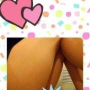 ヒメ日記 2026/04/09 16:30 投稿 清水ねね セクシーキャット 神田店